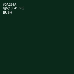 #0A291A - Bush Color Image