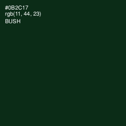 #0B2C17 - Bush Color Image