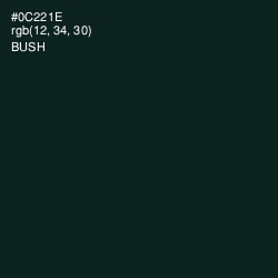 #0C221E - Bush Color Image