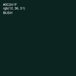 #0C241F - Bush Color Image