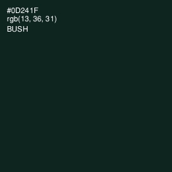 #0D241F - Bush Color Image