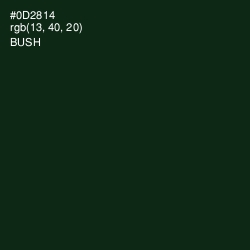 #0D2814 - Bush Color Image