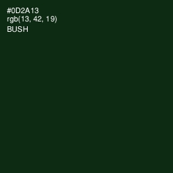 #0D2A13 - Bush Color Image