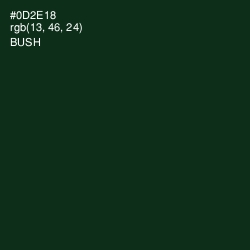 #0D2E18 - Bush Color Image