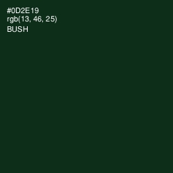 #0D2E19 - Bush Color Image