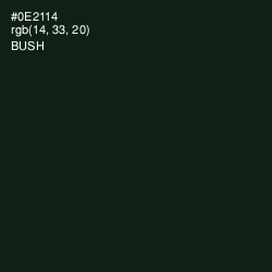 #0E2114 - Bush Color Image