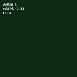 #0E2816 - Bush Color Image