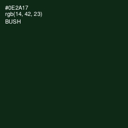 #0E2A17 - Bush Color Image