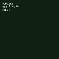 #0F2212 - Bush Color Image