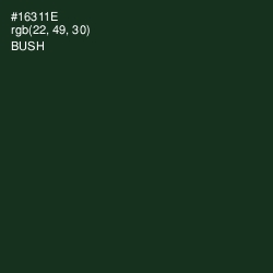 #16311E - Bush Color Image