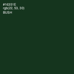 #16351E - Bush Color Image