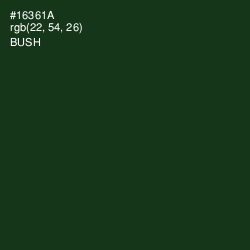 #16361A - Bush Color Image