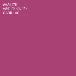 #AA4175 - Cadillac Color Image
