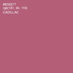 #B55E77 - Cadillac Color Image