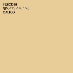 #E8CD98 - Calico Color Image