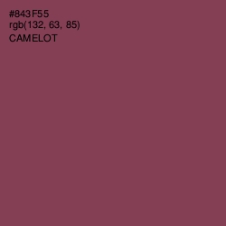 #843F55 - Camelot Color Image