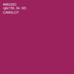 #9B225C - Camelot Color Image