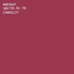 #9B364F - Camelot Color Image