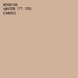 #D0B199 - Cameo Color Image
