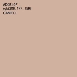 #D0B19F - Cameo Color Image