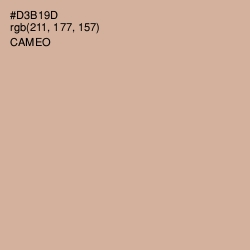 #D3B19D - Cameo Color Image