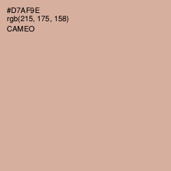 #D7AF9E - Cameo Color Image