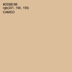 #DDBE9B - Cameo Color Image