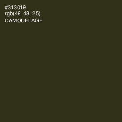 #313019 - Camouflage Color Image