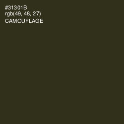 #31301B - Camouflage Color Image