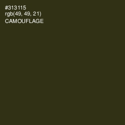 #313115 - Camouflage Color Image