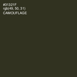 #31321F - Camouflage Color Image