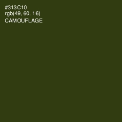 #313C10 - Camouflage Color Image