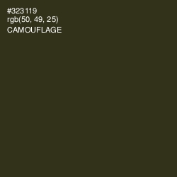 #323119 - Camouflage Color Image
