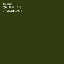 #323C11 - Camouflage Color Image