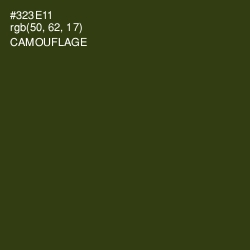#323E11 - Camouflage Color Image