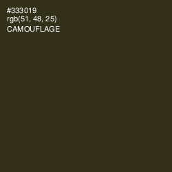 #333019 - Camouflage Color Image