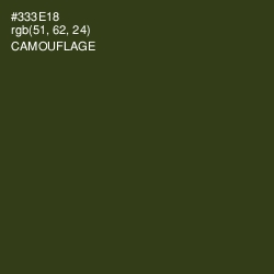 #333E18 - Camouflage Color Image