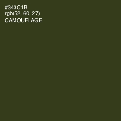 #343C1B - Camouflage Color Image