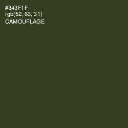 #343F1F - Camouflage Color Image