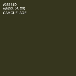 #35361D - Camouflage Color Image