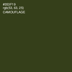 #353F19 - Camouflage Color Image