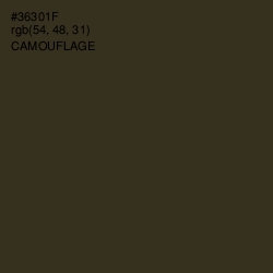#36301F - Camouflage Color Image