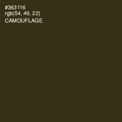 #363116 - Camouflage Color Image