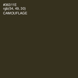 #36311E - Camouflage Color Image