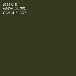 #363A1E - Camouflage Color Image