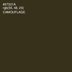 #37301A - Camouflage Color Image