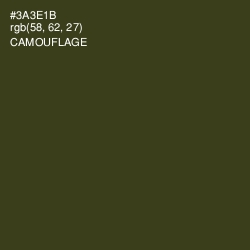 #3A3E1B - Camouflage Color Image