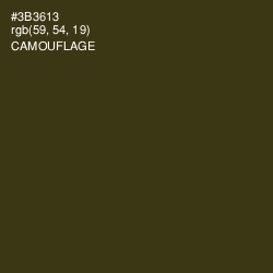 #3B3613 - Camouflage Color Image