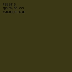 #3B3816 - Camouflage Color Image