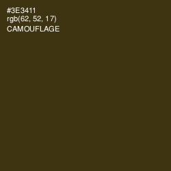 #3E3411 - Camouflage Color Image